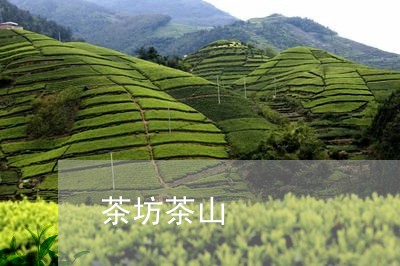 茶坊茶山/2023110952148