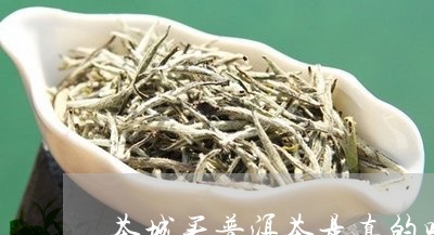 茶城买普洱茶是真的吗还是假的/2023121882793