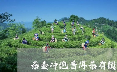 茶壶冲泡普洱茶有锁喉/2023073118379