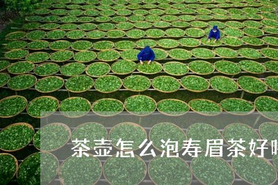 茶壶怎么泡寿眉茶好喝呢/2023092441713