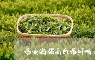 茶壶泡福鼎白茶好吗多少度/2023042866258