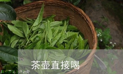 茶壶直接喝/2023090294937