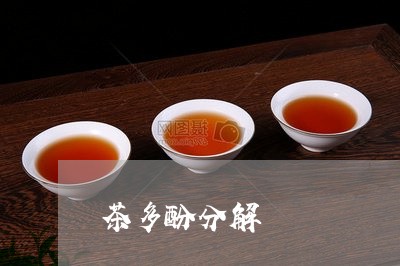 茶多酚分解/2023090287479