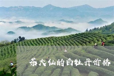 茶大仙的白牡丹价格/2023120565736