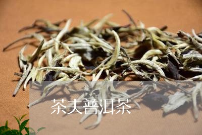 茶夫普洱茶/2023102530613