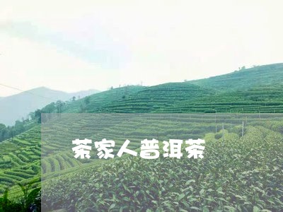 茶家人普洱茶/2023042878795