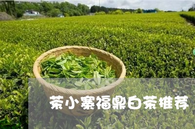 茶小寨福鼎白茶推荐/2023062803816