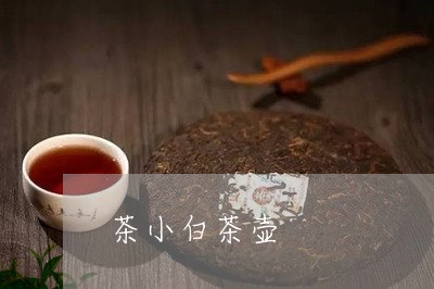 茶小白茶壶/2023051176070