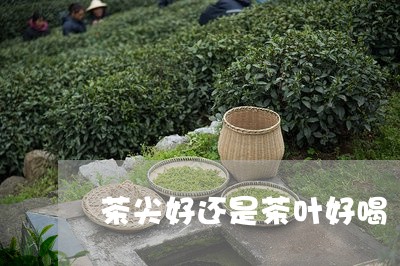 茶尖好还是茶叶好喝/2023042644948