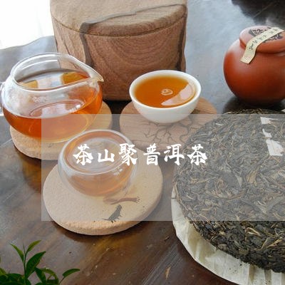 茶山聚普洱茶/2023042842471