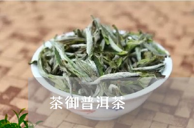 茶御普洱茶/2023112678271