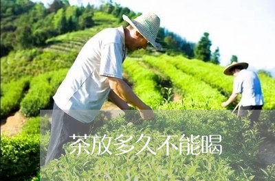 茶放多久不能喝/2023042998564