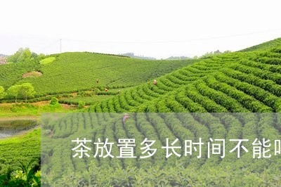 茶放置多长时间不能喝/2023060898403