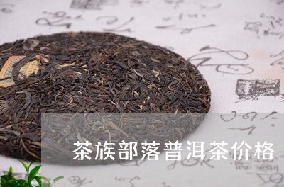 茶族部落普洱茶价格/2023070958604