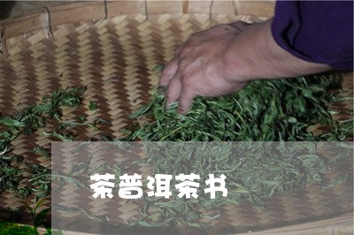 茶普洱茶书/2023102500795