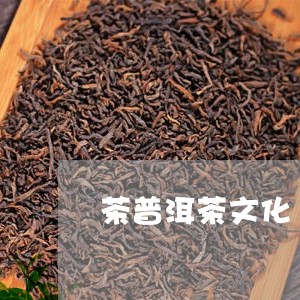 茶普洱茶文化/2023112647381