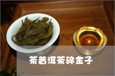 茶普洱茶碎金子/2023070944745