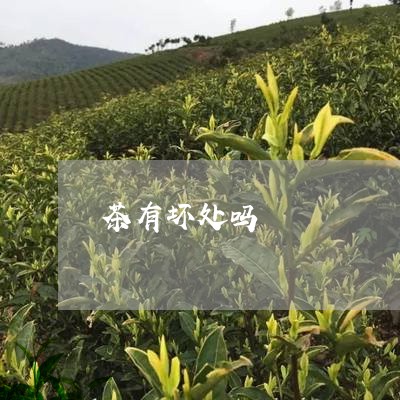 茶有坏处吗/2023121976169