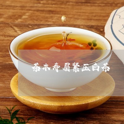 茶本寿眉紧压白茶/2023090853616