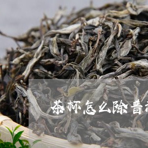 茶杯怎么除普洱茶味道/2023080305037