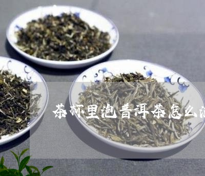 茶杯里泡普洱茶怎么泡的/2023102581392