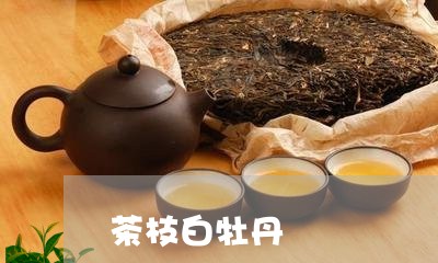 茶枝白牡丹/2023051127271