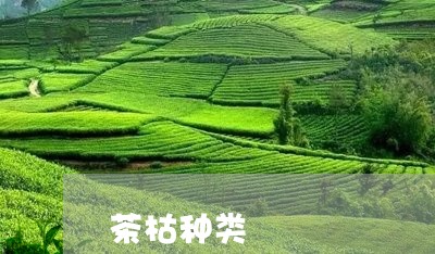 茶枯种类/2023110919594