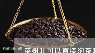 茶树叶可以直接泡茶吗/2023092112816