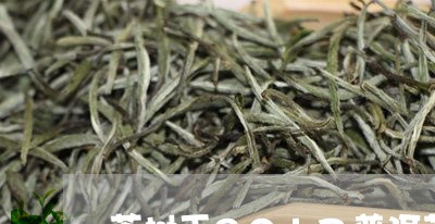 茶树王2017普洱茶/2023100812807