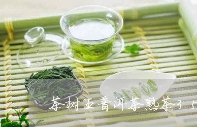 茶树王普洱茶熟茶357g/2023081750581