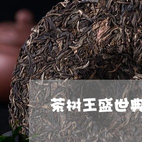 茶树王盛世典藏普洱茶/2023100897058