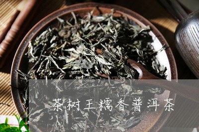 茶树王糯香普洱茶/2023120429582