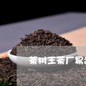 茶树王茶厂易武的价格/2023092391604