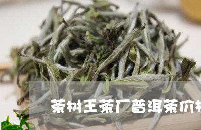 茶树王茶厂普洱茶价格/2023080382916