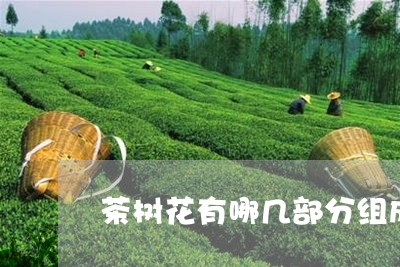 茶树花有哪几部分组成/2023071304260