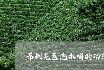 茶树花苞泡水喝的功效/2023060805950