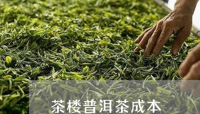 茶楼普洱茶成本/2023091425026