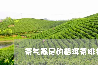 茶气最足的普洱茶排名第一/2023121836359