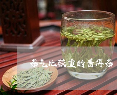 茶气比较重的普洱茶/2023082603138