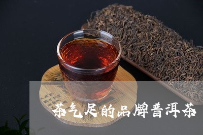 茶气足的品牌普洱茶/2023101794028