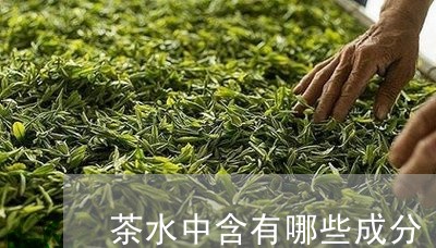 茶水中含有哪些成分/2023042006169