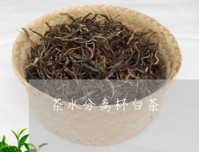 茶水分离杯白茶/2023060946249