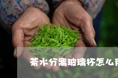 茶水分离玻璃杯怎么用/2023071385058