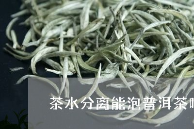 茶水分离能泡普洱茶吗/2023092986361