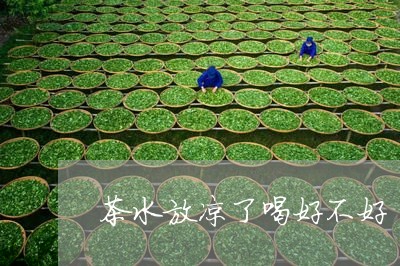 茶水放凉了喝好不好/2023042090626