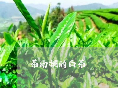 茶汤稠的白茶/2023052318372