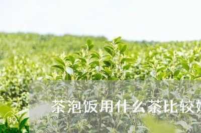 茶泡饭用什么茶比较好/2023071457481