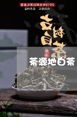 茶源地白茶/2023051192138