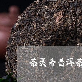 茶灵斋普洱茶/2023042802929