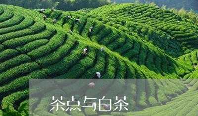 茶点与白茶/2023051184958